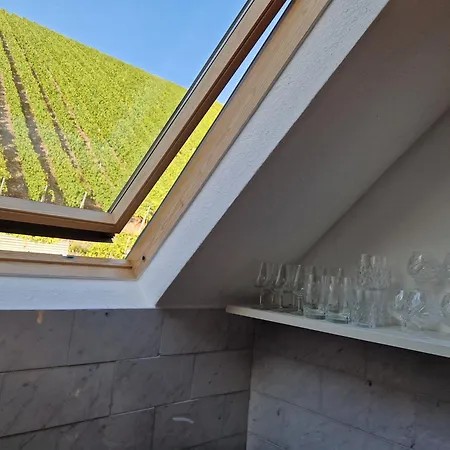 Antikes Haus An Der Mosel *