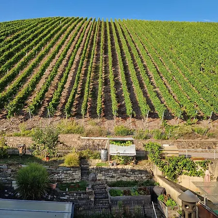Antikes Haus An Der Mosel * Kinheim